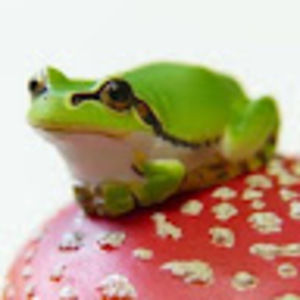 Meet your Posher, Squash